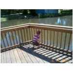 Asher feeding ducks.jpg